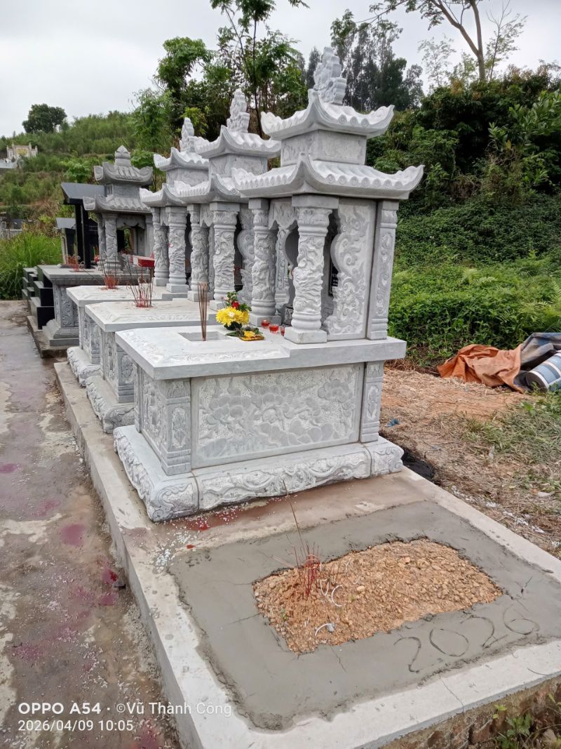vuthanhtung2